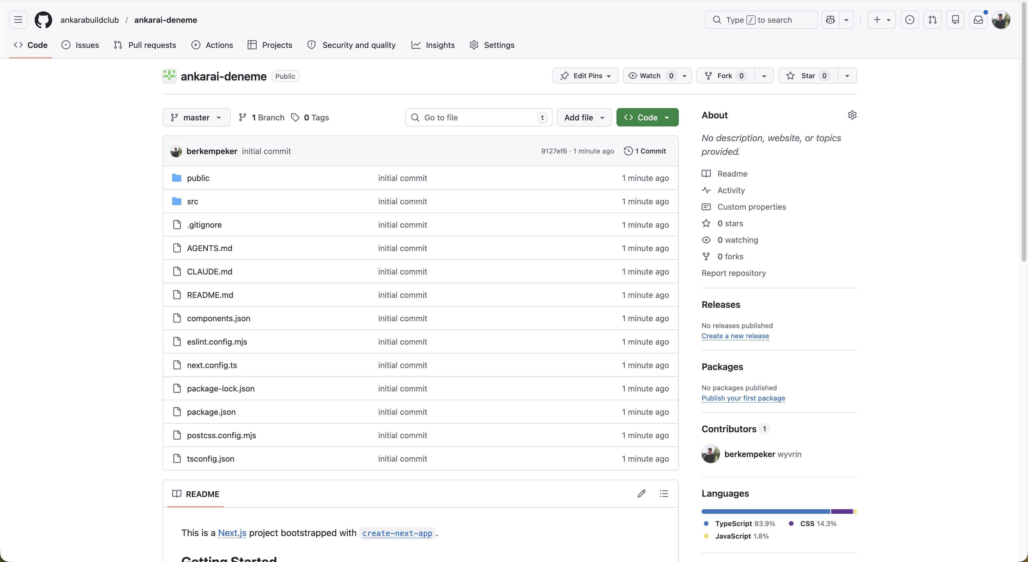 GitHub repo — push sonrası dosyalar yüklenmiş halde